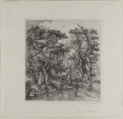 Silniční scéna, Heathersett od John Crome