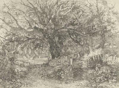 Road Scene, Trowse Hall, 1813 od John Crome