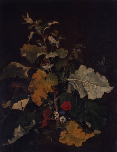 Studie lopuchu od John Crome