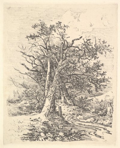 Kmeny a ulička stromů, 1811-13. od John Crome