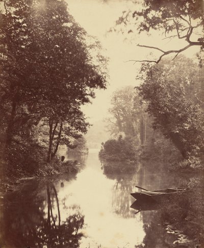 Letní večer, Penllergare,25. srpna od John Dillwyn Llewelyn