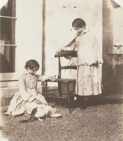 Krmení chudého kocoura, 1853-56. od John Dillwyn Llewelyn