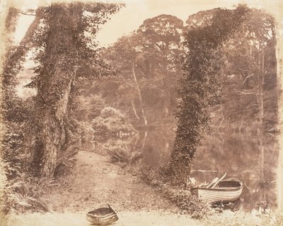 Horní jezero, 1853-56. od John Dillwyn Llewelyn
