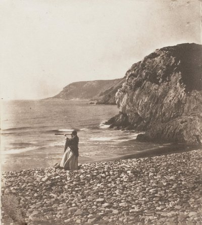 Větry a vlny, 1853-56. od John Dillwyn Llewelyn
