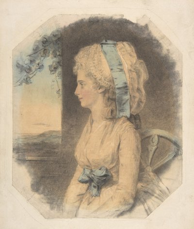 Slečna Mary Cruikshank, jediná sestra Jamese Cruikshanka, 1781. od John Downman