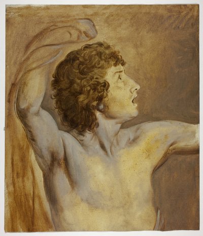 Studium po přírodě od John Downman