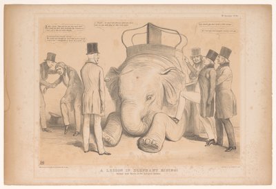 Spotpresent přes aanstelling van Henry Hardinge jako guvernér van Indie Lekce jízdy na slonech! Studováno z přírody v zoologické zahradě (název na objektu) HB Sketches (název série na objektu) od John Doyle