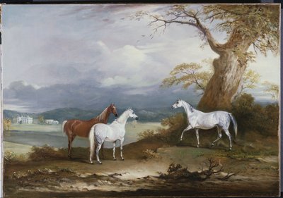 Klisny lorda Macdonalda na pozemku Thorpe Hall, Rudston, Yorkshire, 1836 od John E. Ferneley