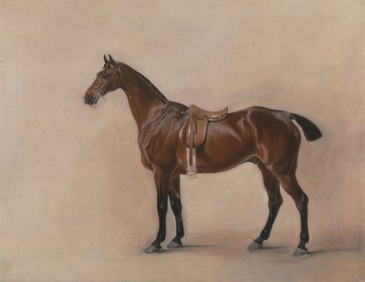 Studie lovce sedlého zálivu od John E. Ferneley