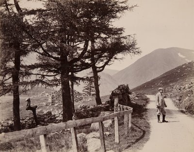 Clova - Zříceniny, 1895 od John Edward Alyosius Steggall