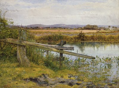 The Roadside, 1862 od John Edward Newton