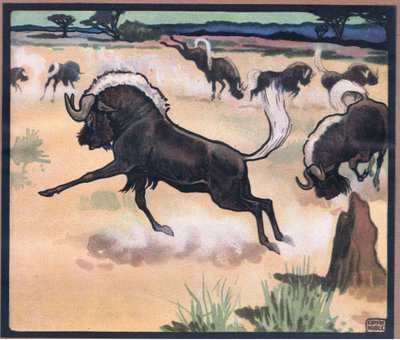 Gnu od John Edwin Noble