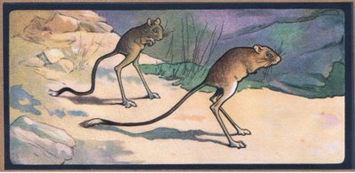 Jerboa od John Edwin Noble