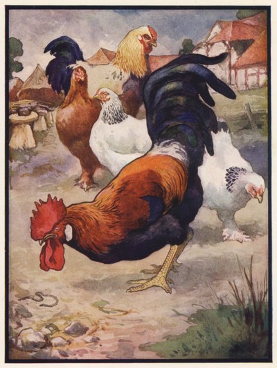 Kohout a klenot (barva lito) od John Edwin Noble