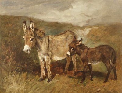 Osli na Mooru, kolem roku 1890 od John Emms