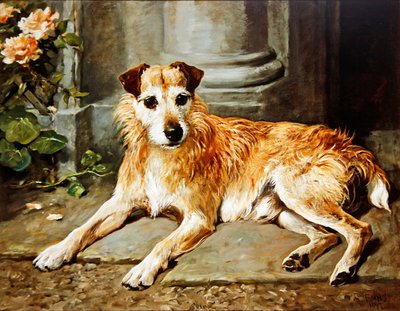 Ostrý od John Emms