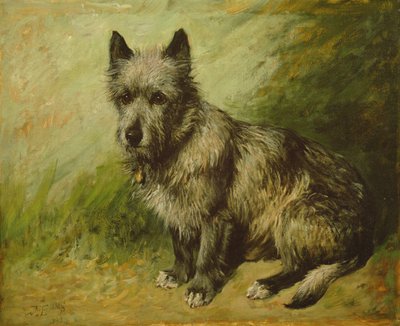 Cáry od John Emms
