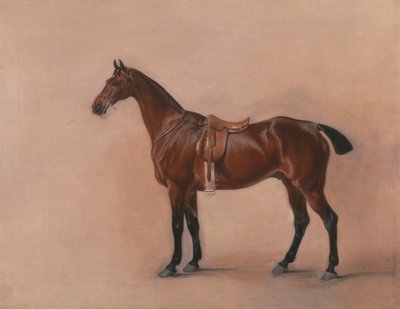 Studie lovce sedlého zálivu od John Ferneley