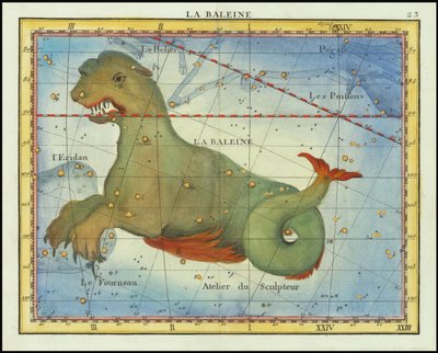 1776 - John Flamsteed - La Baleine (Cetus) od John Flamsteed