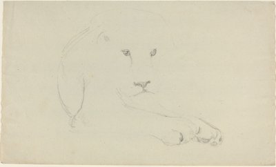 Lion   1223659   cs       czech Successfully Translated  Original: Illustration from Dantes Divine Comedy, Inferno, Canto IX. 28 Translat: Illustration from Dante