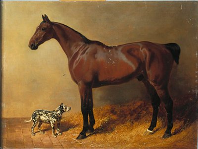 Bay Hunter a strakatý pes ve stabilním interiéru, 1846 od John Frederick Herring Senior