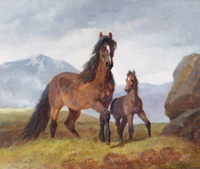 Velšská horská klisna a hříbě, 1854 (panel) od John Frederick Herring Senior