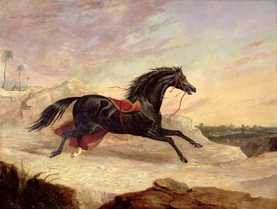 Arabové honí volného arabského koně ve východní krajině od John Frederick Herring Senior