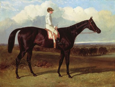Jonathan Wild, závodní kůň Dark Bay, v Goodwood, T. Ryder, 1846 od John Frederick Herring Senior