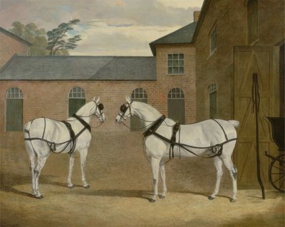 Šedí kočároví koně pana Sowerbyho na jeho Coachyard v Putteridge Bury, Hertfordshire, 1836 od John Frederick Herring Senior