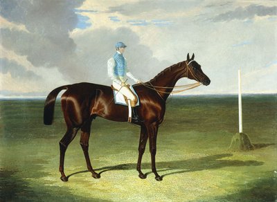paní Ridsdale