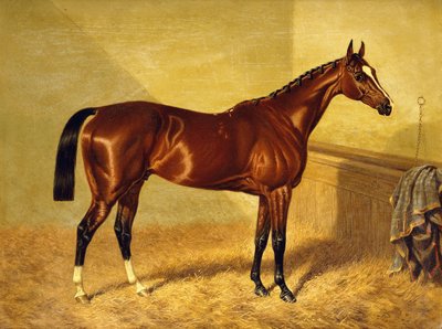 Orlando, závodní kůň v zátoce ve volném boxu, 1845 od John Frederick Herring Senior