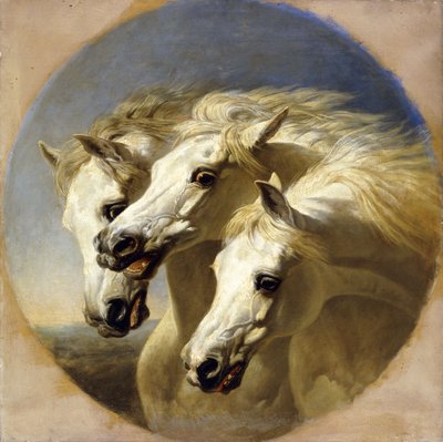 Faraonovi koně, 1848 od John Frederick Herring Senior