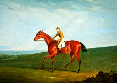 Prsten s J. Jackson Up, kolem roku 1823 (olej na plátně) od John Frederick Herring Senior