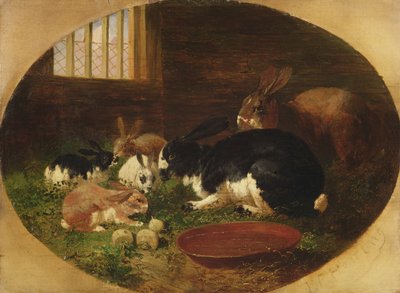 Králičí bouda od John Frederick Herring Senior
