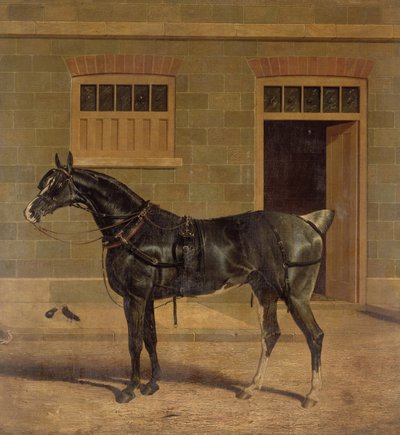 Neznámý obrázek od John Frederick Herring Senior