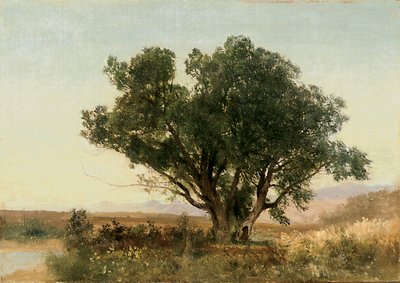 Front Range, Colorado od John Frederick Kensett