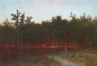 Soumrak v cedrech v Darien, Connecticut, 1872. od John Frederick Kensett