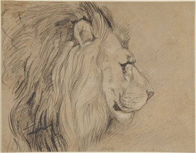 Lev od John Frederick Lewis