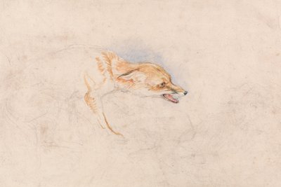 Studie přikrčené lišky, která se dívá doprava od John Frederick Lewis