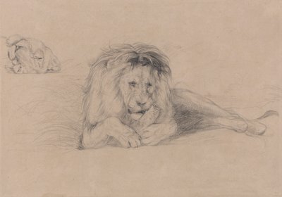 Studium lva a studia hlavy lvice od John Frederick Lewis