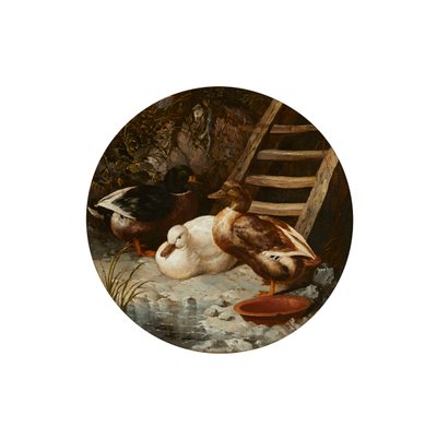 Kachny na břehu řeky (olej na plátně) od John Frederick Herring Senior
