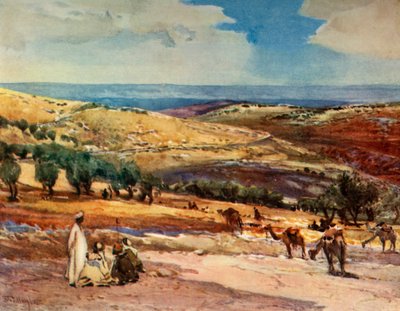 Na cestě z Jeruzaléma do Betanie, 1902. od John Fulleylove