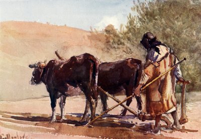 Orba na Olivové hoře, 1902. od John Fulleylove