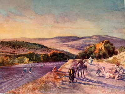 Místo starověkého města Samaří, 1902. od John Fulleylove