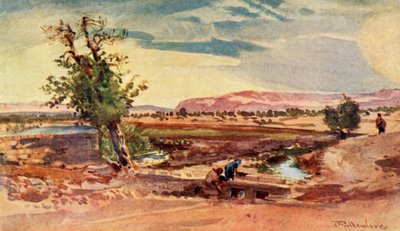 Potok tekoucí z Elizeova pramene, 1902. od John Fulleylove