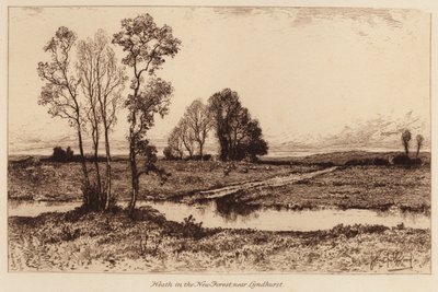 Vřesoviště v New Forest, poblíž Lyndhurstu (rytina) od John Fullwood