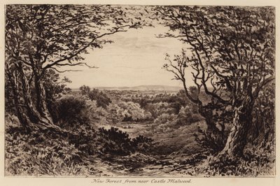 New Forest z okolí Castle Malwood (rytina) od John Fullwood