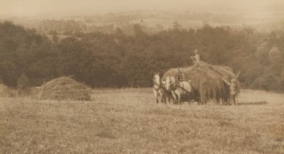 Nakládání sena,1890-1900 (foto) od John G. Bullock