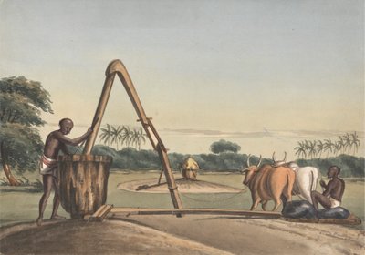 Checkoo nebo Oil Mill od John Gantz
