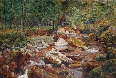Skalnatý potok převislý stromy (akvarel a tělová barva s arabskou gumou na papíře) od John George Sowerby